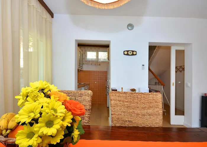 House Sreca Tatil Evi